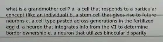 what is a grandmother cell? a. a cell that responds to a particular concept (like an individual) b. a stem cell that gives rise to future neurons c. a cell type pasted across generations in the fertilized egg d. a neuron that integrates info from the V1 to determine border ownership e. a neuron that utilizes binocular disparity