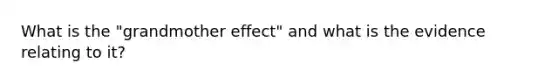 What is the "grandmother effect" and what is the evidence relating to it?