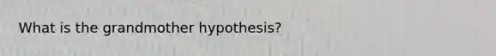 What is the grandmother hypothesis?