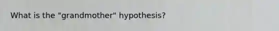 What is the "grandmother" hypothesis?