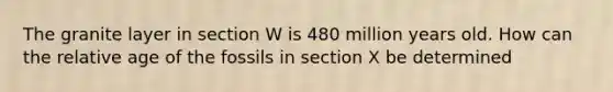 The granite layer in section W is 480 million years old. How can the relative age of the fossils in section X be determined