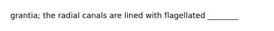 grantia; the radial canals are lined with flagellated ________