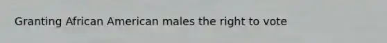 Granting African American males the right to vote
