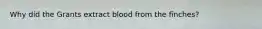 Why did the Grants extract blood from the finches?