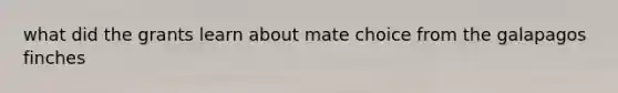 what did the grants learn about mate choice from the galapagos finches