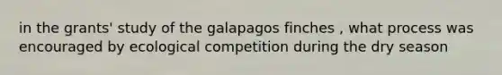 in the grants' study of the galapagos finches , what process was encouraged by ecological competition during the dry season