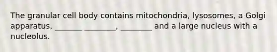 The granular cell body contains mitochondria, lysosomes, a Golgi apparatus, _______ ________, ________ and a large nucleus with a nucleolus.