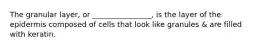 The granular layer, or ________________, is the layer of the epidermis composed of cells that look like granules & are filled with keratin.