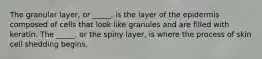 The granular layer, or _____, is the layer of the epidermis composed of cells that look like granules and are filled with keratin. The _____, or the spiny layer, is where the process of skin cell shedding begins.