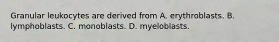 Granular leukocytes are derived from A. erythroblasts. B. lymphoblasts. C. monoblasts. D. myeloblasts.