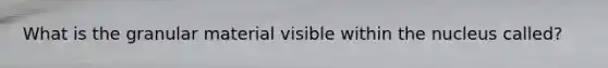 What is the granular material visible within the nucleus called?