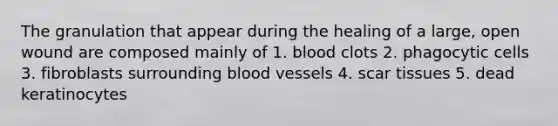 The granulation that appear during the healing of a large, open wound are composed mainly of 1. blood clots 2. phagocytic cells 3. fibroblasts surrounding <a href='https://www.questionai.com/knowledge/kZJ3mNKN7P-blood-vessels' class='anchor-knowledge'>blood vessels</a> 4. scar tissues 5. dead keratinocytes