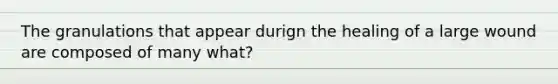 The granulations that appear durign the healing of a large wound are composed of many what?