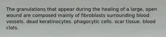 The granulations that appear during the healing of a large, open wound are composed mainly of fibroblasts surrounding blood vessels. dead keratinocytes. phagocytic cells. scar tissue. blood clots.