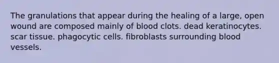 The granulations that appear during the healing of a large, open wound are composed mainly of blood clots. dead keratinocytes. scar tissue. phagocytic cells. fibroblasts surrounding <a href='https://www.questionai.com/knowledge/kZJ3mNKN7P-blood-vessels' class='anchor-knowledge'>blood vessels</a>.