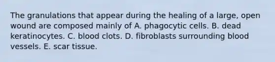 The granulations that appear during the healing of a large, open wound are composed mainly of A. phagocytic cells. B. dead keratinocytes. C. blood clots. D. fibroblasts surrounding blood vessels. E. scar tissue.