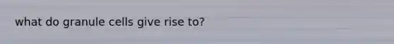 what do granule cells give rise to?