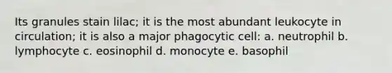 Its granules stain lilac; it is the most abundant leukocyte in circulation; it is also a major phagocytic cell: a. neutrophil b. lymphocyte c. eosinophil d. monocyte e. basophil