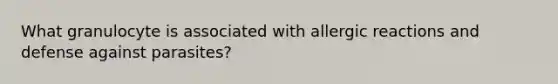 What granulocyte is associated with allergic reactions and defense against parasites?
