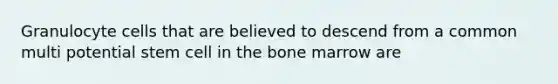 Granulocyte cells that are believed to descend from a common multi potential stem cell in the bone marrow are