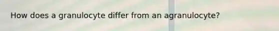 How does a granulocyte differ from an agranulocyte?