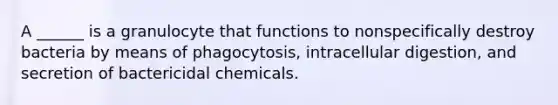 A ______ is a granulocyte that functions to nonspecifically destroy bacteria by means of phagocytosis, intracellular digestion, and secretion of bactericidal chemicals.