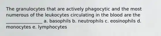 The granulocytes that are actively phagocytic and the most numerous of the leukocytes circulating in the blood are the ________________ a. basophils b. neutrophils c. eosinophils d. monocytes e. lymphocytes