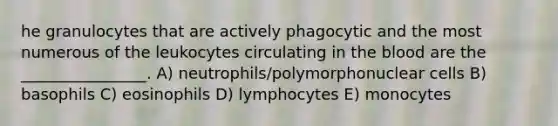 he granulocytes that are actively phagocytic and the most numerous of the leukocytes circulating in <a href='https://www.questionai.com/knowledge/k7oXMfj7lk-the-blood' class='anchor-knowledge'>the blood</a> are the ________________. A) neutrophils/polymorphonuclear cells B) basophils C) eosinophils D) lymphocytes E) monocytes