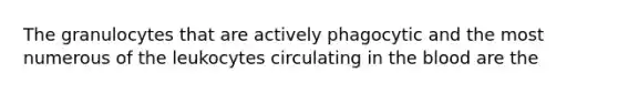 The granulocytes that are actively phagocytic and the most numerous of the leukocytes circulating in the blood are the