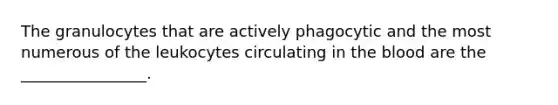 The granulocytes that are actively phagocytic and the most numerous of the leukocytes circulating in the blood are the ________________.