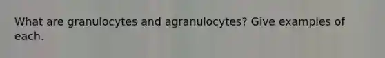 What are granulocytes and agranulocytes? Give examples of each.