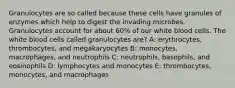 Granulocytes are so called because these cells have granules of enzymes which help to digest the invading microbes. Granulocytes account for about 60% of our white blood cells. The white blood cells called granulocytes are? A: erythrocytes, thrombocytes, and megakaryocytes B: monocytes, macrophages, and neutrophils C: neutrophils, basophils, and eosinophils D: lymphocytes and monocytes E: thrombocytes, monocytes, and macrophages