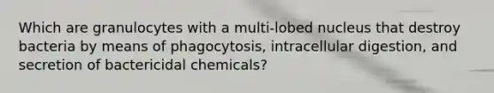 Which are granulocytes with a multi-lobed nucleus that destroy bacteria by means of phagocytosis, intracellular digestion, and secretion of bactericidal chemicals?