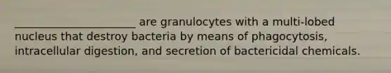 ______________________ are granulocytes with a multi-lobed nucleus that destroy bacteria by means of phagocytosis, intracellular digestion, and secretion of bactericidal chemicals.