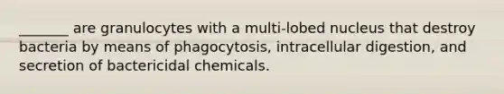 _______ are granulocytes with a multi-lobed nucleus that destroy bacteria by means of phagocytosis, intracellular digestion, and secretion of bactericidal chemicals.