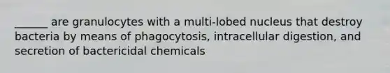 ______ are granulocytes with a multi-lobed nucleus that destroy bacteria by means of phagocytosis, intracellular digestion, and secretion of bactericidal chemicals