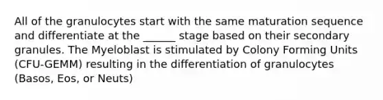 All of the granulocytes start with the same maturation sequence and differentiate at the ______ stage based on their secondary granules. The Myeloblast is stimulated by Colony Forming Units (CFU-GEMM) resulting in the differentiation of granulocytes (Basos, Eos, or Neuts)