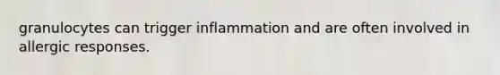 granulocytes can trigger inflammation and are often involved in allergic responses.