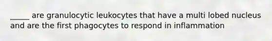 _____ are granulocytic leukocytes that have a multi lobed nucleus and are the first phagocytes to respond in inflammation