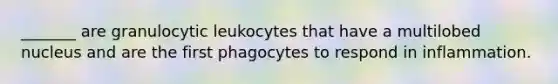 _______ are granulocytic leukocytes that have a multilobed nucleus and are the first phagocytes to respond in inflammation.