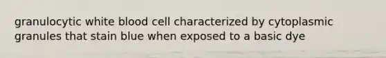 granulocytic white blood cell characterized by cytoplasmic granules that stain blue when exposed to a basic dye