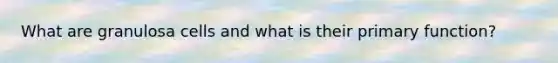 What are granulosa cells and what is their primary function?