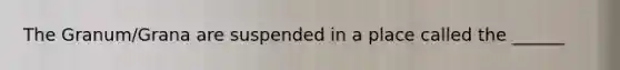 The Granum/Grana are suspended in a place called the ______