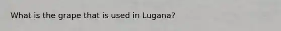 What is the grape that is used in Lugana?