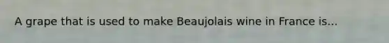 A grape that is used to make Beaujolais wine in France is...