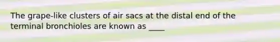 The grape-like clusters of air sacs at the distal end of the terminal bronchioles are known as ____