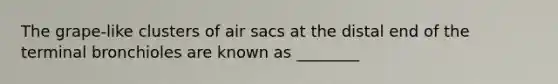 The grape-like clusters of air sacs at the distal end of the terminal bronchioles are known as ________