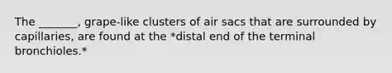 The _______, grape-like clusters of air sacs that are surrounded by capillaries, are found at the *distal end of the terminal bronchioles.*