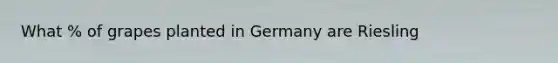 What % of grapes planted in Germany are Riesling