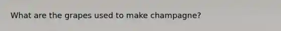 What are the grapes used to make champagne?